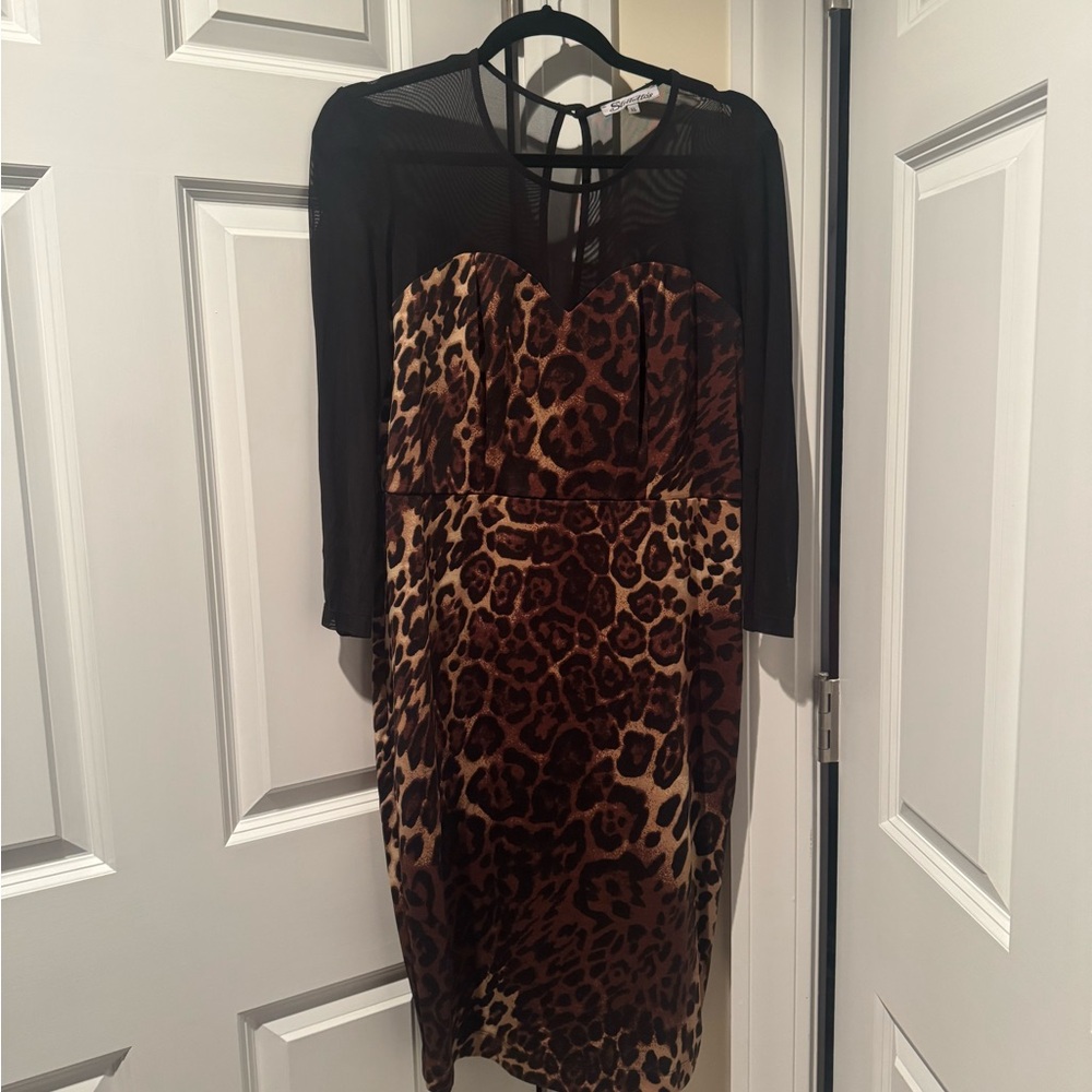 Leopard Print & Sheer Black Dress